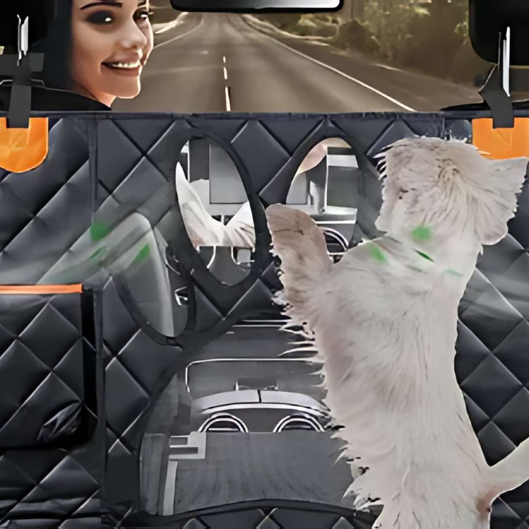 Image of KHAAS Waterproof Back Seat Cover for Dogs with Mesh, showing the mesh feature.