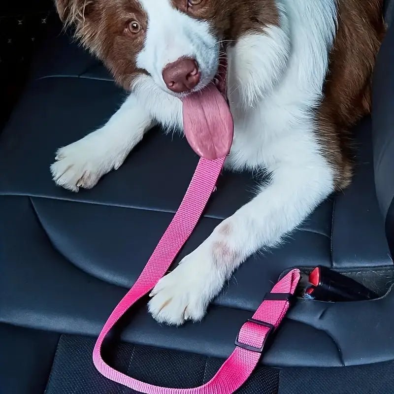 Dog Seat Belt, secured
