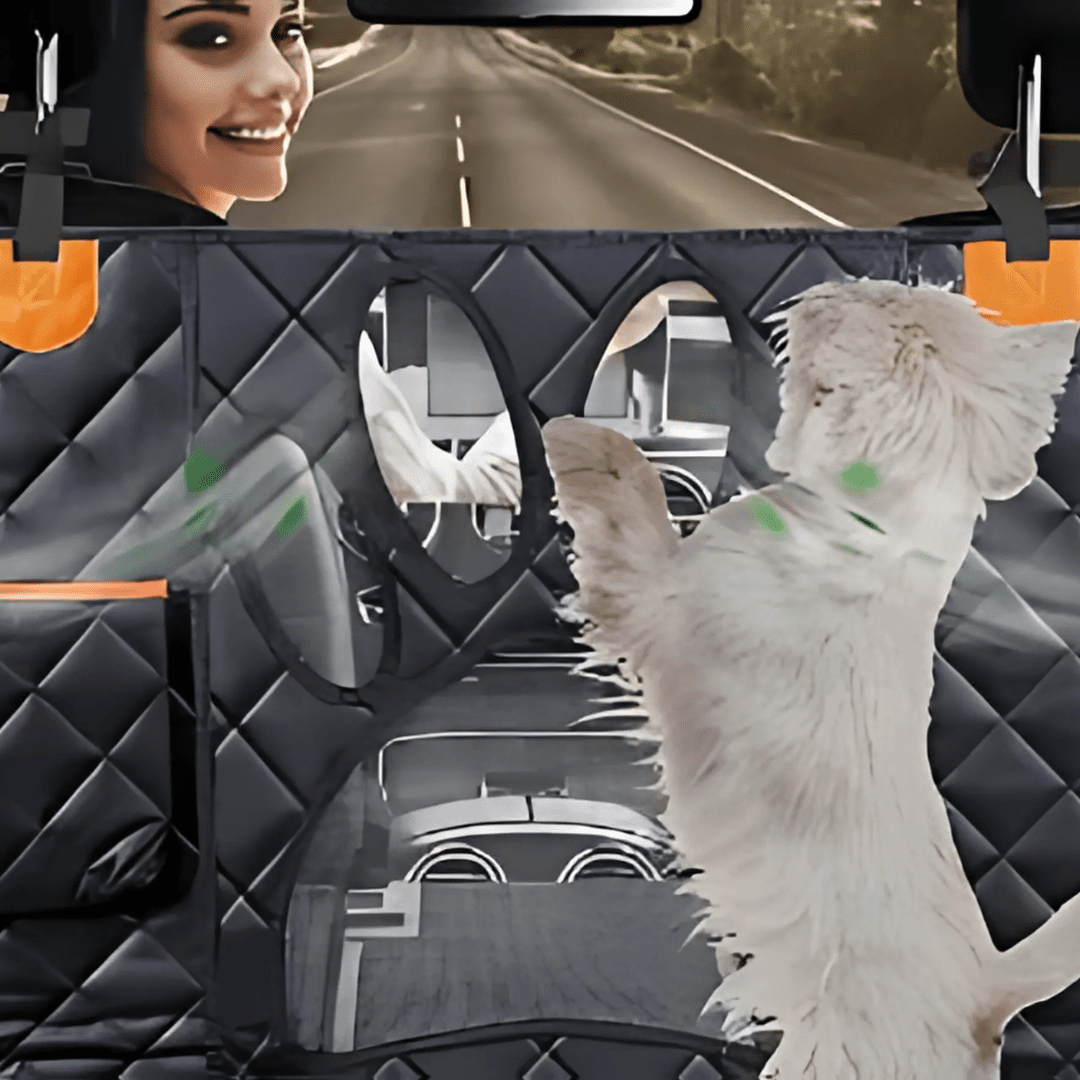 Image of KHAAS Waterproof Back Seat Cover for Dogs with Mesh, showing the mesh feature. 